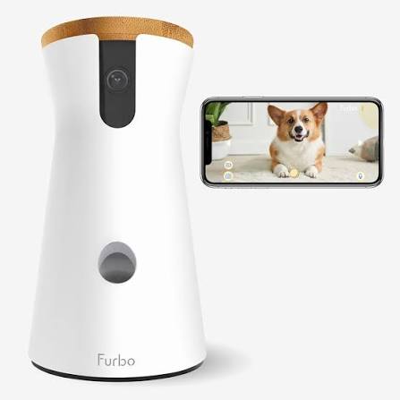 Furbo dog camera on a shelf with a dog nearby