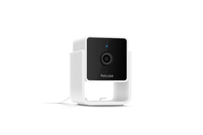 Indoor pet camera on a shelf