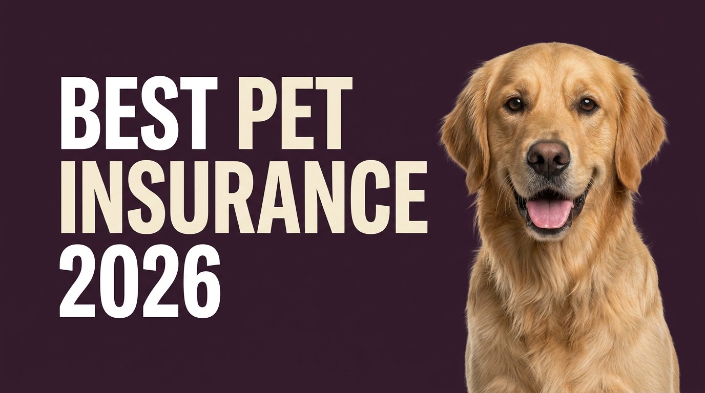 Comparing US pet insurance policy documents