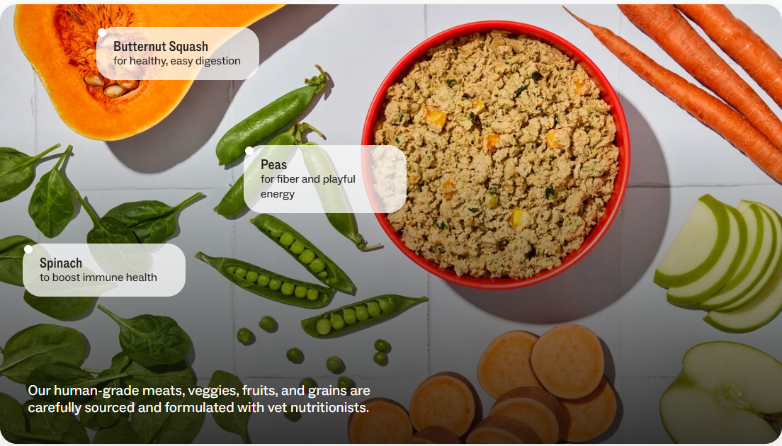 Fresh dog food delivery packs
