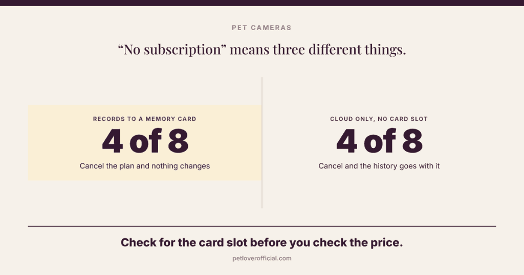 Pet Cameras Without a Subscription: What You Actually Give&nbsp;Up