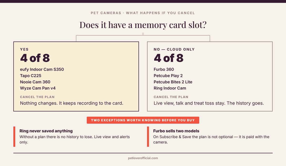 Decision diagram: does the pet camera have a memory card slot? Yes for four of the eight — eufy Indoor Cam S350, Tapo C225, Nooie Cam 360 and Wyze Cam Pan v4 — and cancelling the plan changes nothing. No for the other four — Furbo 360, Petcube Play 2, Petcube Bites 2 Lite and Ring Indoor Cam — where live view, talk and treat toss stay but the video history goes. Two exceptions: Ring saves nothing without a plan in the first place, and Furbo's Subscribe and Save model makes the plan compulsory.