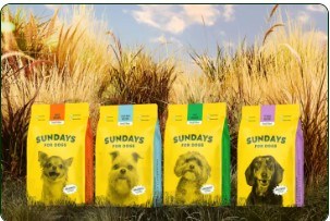 SUNDAYSFORDOOGS