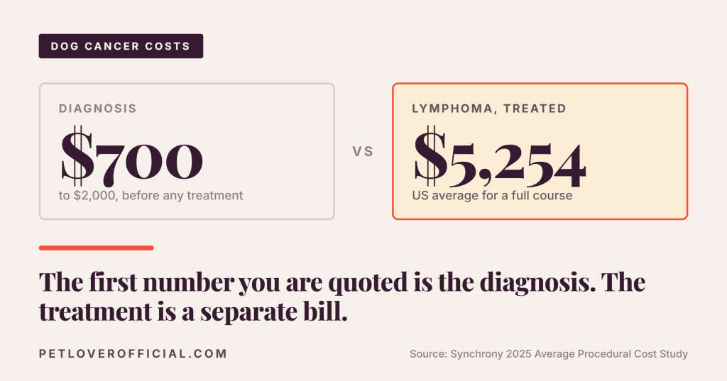 Dog Cancer Treatment&nbsp;Cost