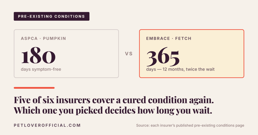 Does Pet Insurance Cover Pre-Existing&nbsp;Conditions?